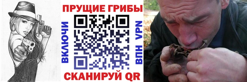 blacksprut зеркало  даркнет сайт  Строитель  Галлюциногенные грибы мицелий 